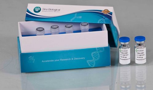 義翹神州以研發(fā)驅動業(yè)績快速成長,產(chǎn)品深受國際認可 需求旺盛